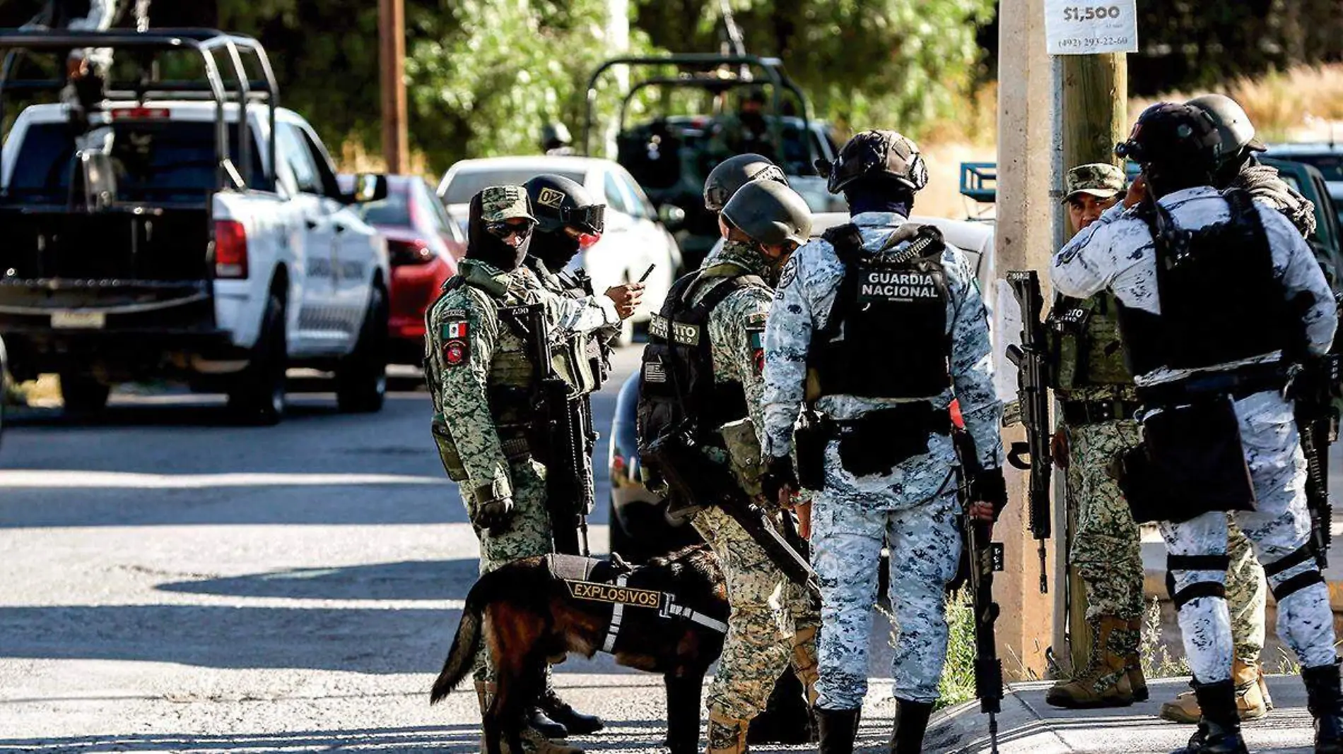 Operativo en colonia de Guadalupe, Zacatecas